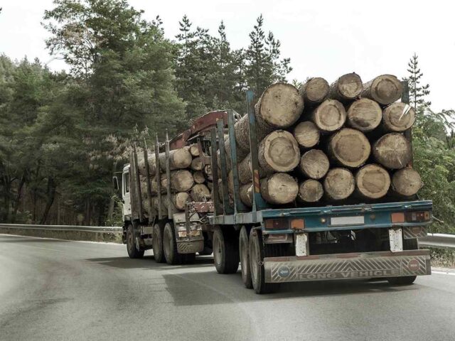 inner_big_trucks_01 https://errandswithscov.co.ke/wp-content/uploads/2017/08/inner_big_trucks_01-640x480.jpg